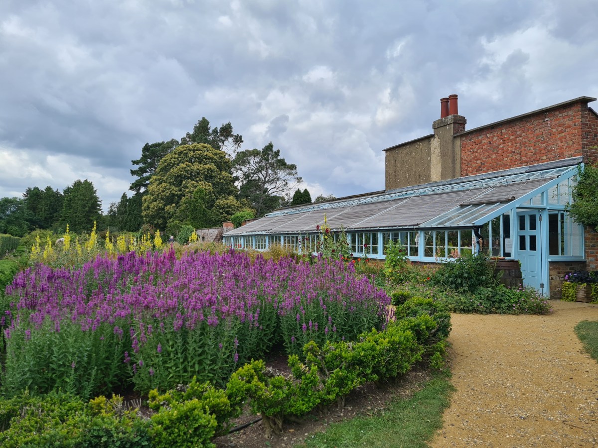 From Lunaticks to scientific greatness